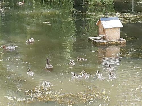 Bed & Breakfast Le Bonheur Des Plumes