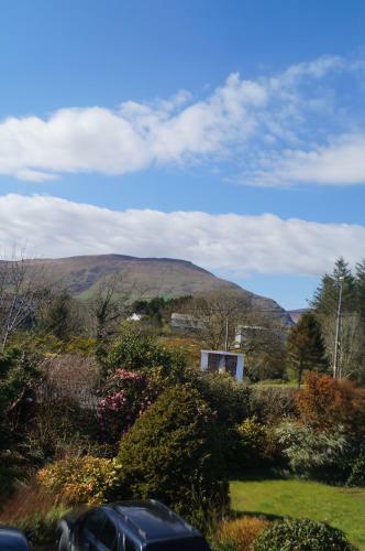 Bed & Breakfast Ardrinane House