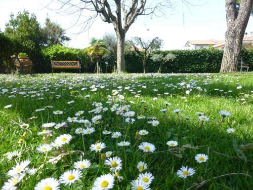 Hostal B&B Villa Acero