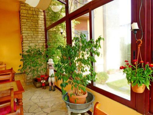 Hostal B&B Villa Acero