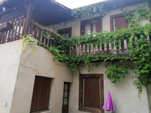 Apartamento Studio Avec Terrasse Amenagee Et Wifi A Neris Les Bains