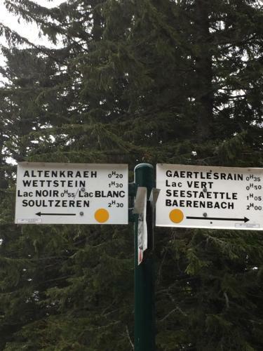 Apartamento Alsace Campagne Prox Colmar Jardin Piste Cyclable