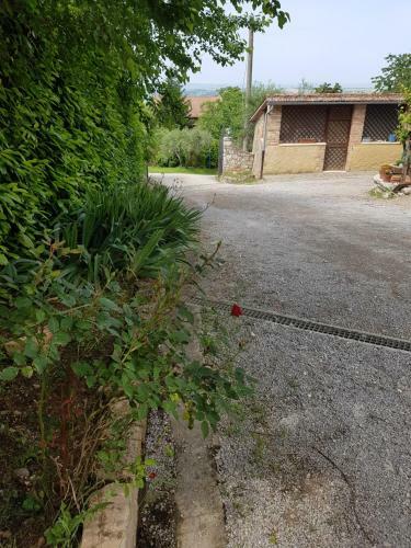 Agroturismo Agriturismo Il Solaio