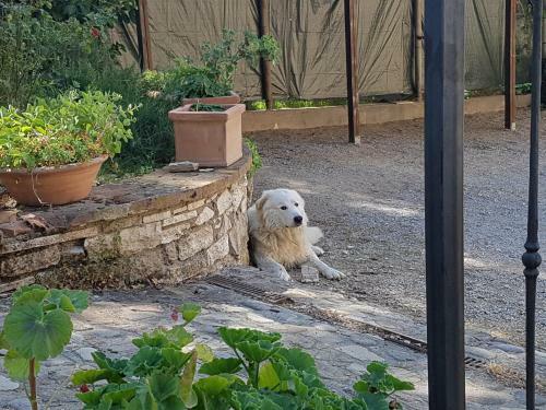 Agroturismo Agriturismo Il Solaio