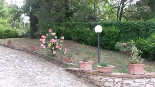 Agroturismo Agriturismo Il Solaio