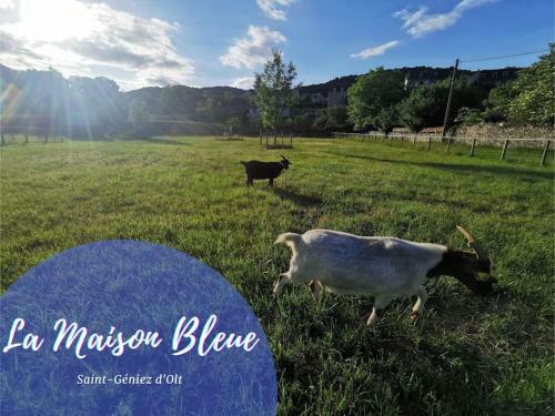 Apartamento Le Repaire Du Soleil, T3 Rd Jardin Avec Piscines