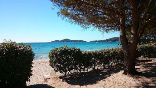Hotel R�sidences A Ruscana