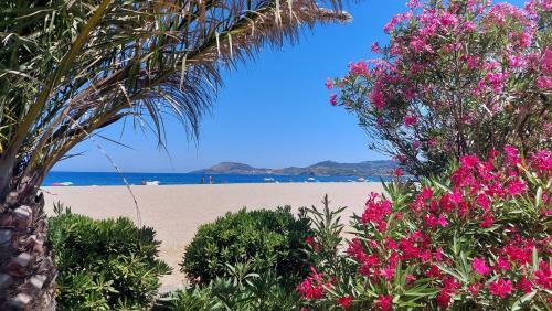 Apartamento Plage Des Pins, Super Studio Front De Mer