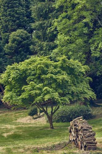 Le Jardin Saint Germain Lodges And Events