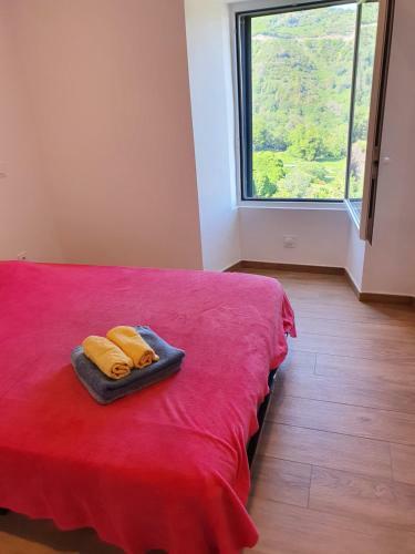 English Club In Corsica B&B