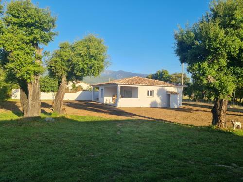 Apartamento Location