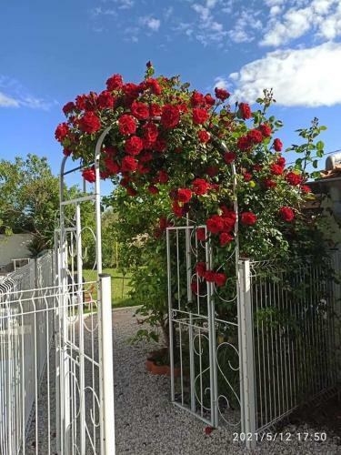 Apartamento Pugetvilla G�te Piscine Partag�e