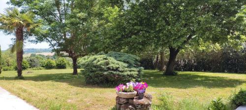 Bed & Breakfast Domaine Les Garrigues