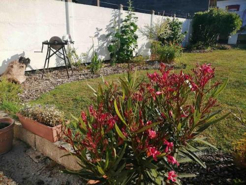 Le Passeur De R�ves � Quend - 8 Personnes