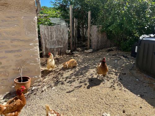 Bed & Breakfast Ferme Chez Marcel - Entre Bourgogne Et Champagne