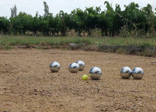 Hostal Maison D�h�tes Le Mas Des Vignes