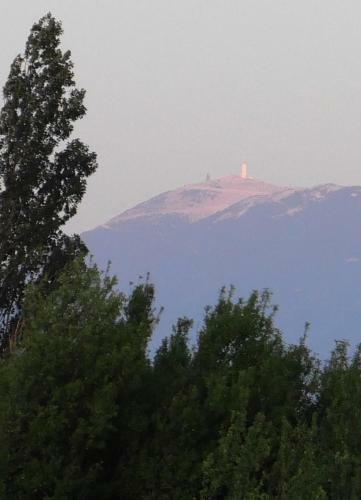 Hostal Maison D�h�tes Le Mas Des Vignes