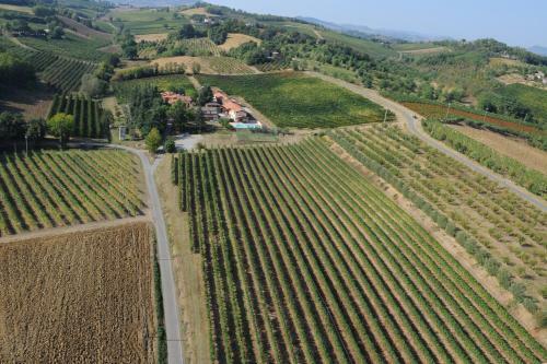 Agroturismo Agriturismo E Cantina La Sabbiona