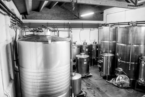 Agroturismo Agriturismo E Cantina La Sabbiona