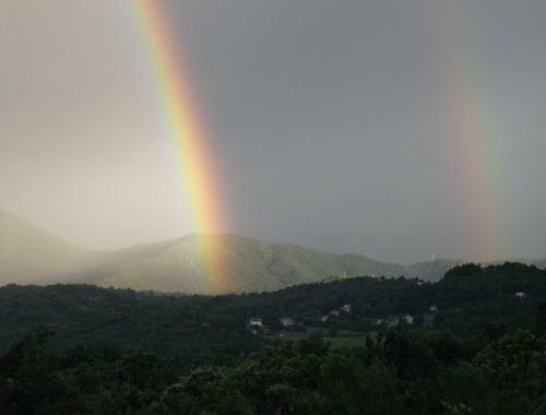 Bed & Breakfast Il Giardino Delle Farfalle