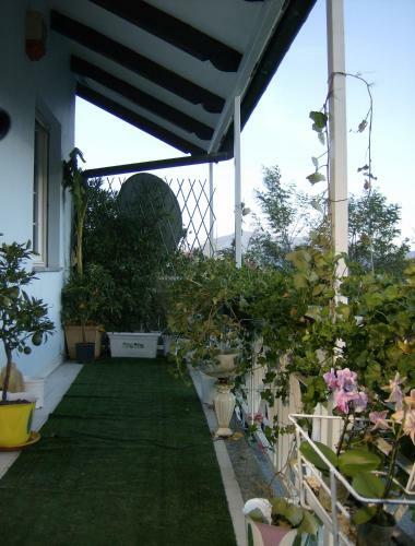 Bed & Breakfast Il Giardino Delle Farfalle