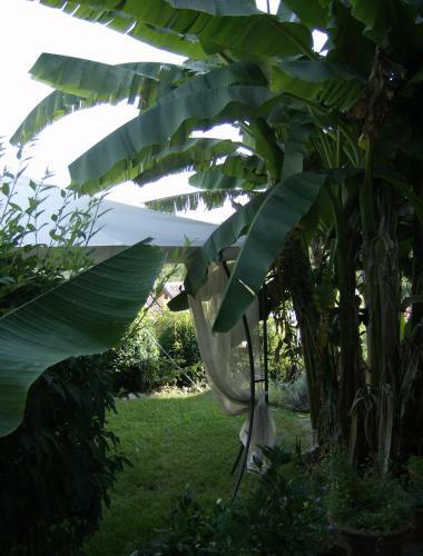 Bed & Breakfast Il Giardino Delle Farfalle