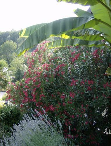 Bed & Breakfast Il Giardino Delle Farfalle