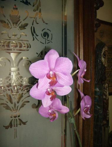 Bed & Breakfast Il Giardino Delle Farfalle