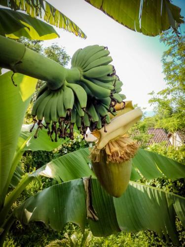 Bed & Breakfast Il Giardino Delle Farfalle