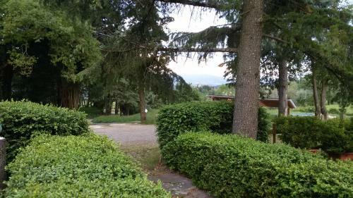 Bed & Breakfast Piccolo Ulivo Ranch