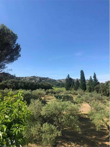 Villa Magnifique Mas Entre Vignes Et Garrigue