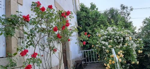 Maison Familiale Ronchonnette Et Mon Repos