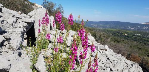 Agroturismo Bergerie De La Bu�ges
