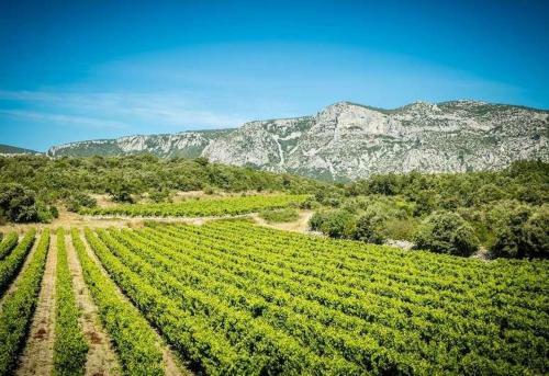 Agroturismo Bergerie Du Pic Saint-loup