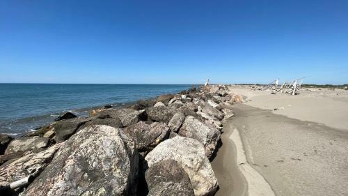 Apartamento R�sidence L?oiseau Des Sables