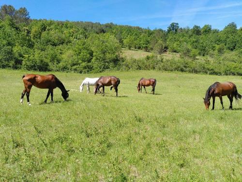 M�tairie De Lamourade - Un �crin De Nature Sereine