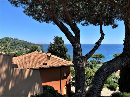 Apartamento La Madrague