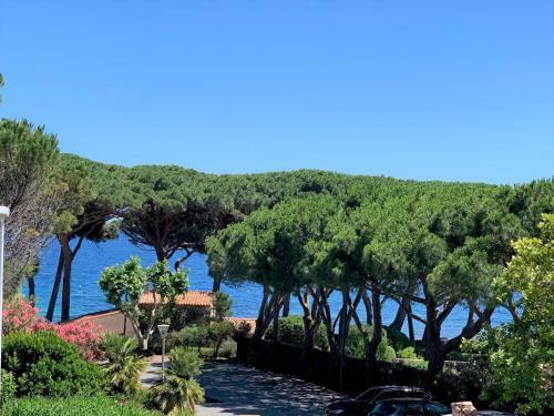 Apartamento La Madrague