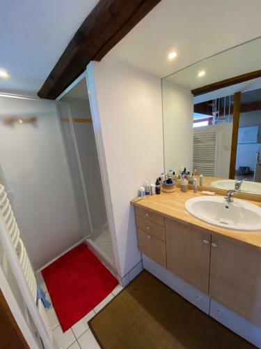 Grange R�nov�e Avec Piscine - Vue Montagne