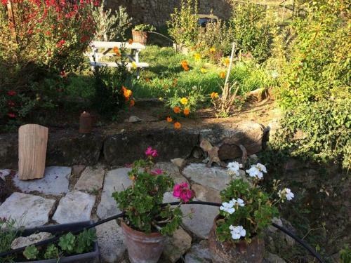 Bed & Breakfast L Ayrolle Basse