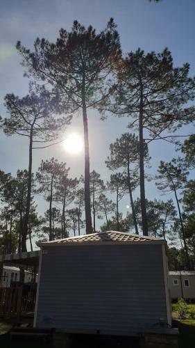 Mobilhome Les Dunes De Contis