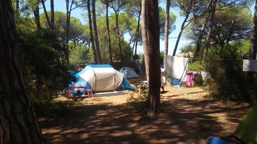 Camping Village Il Sole
