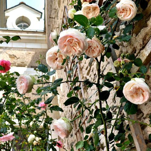 Bed & Breakfast La Demeure De L'aubance