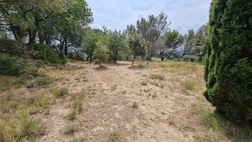 Les 2 Mazets Proven�aux