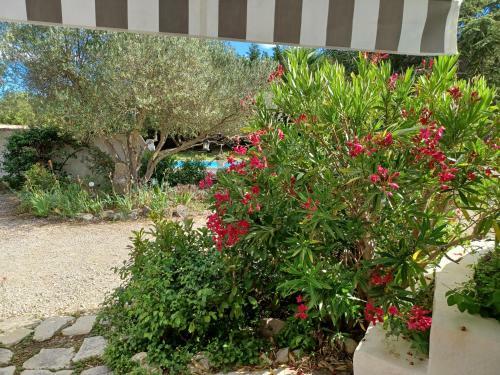 Apartamento Le Gite Du Kalarino
