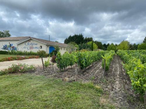 Domaine Du Cassana