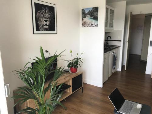 Apartamento Studio Saint-rapha�l, 1 Pi�ce, 4 Personnes - Fr-1-504-645