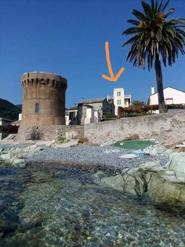 Apartamento Cap Corse/bastia. Studio Bord De Mer 2 Personnes.
