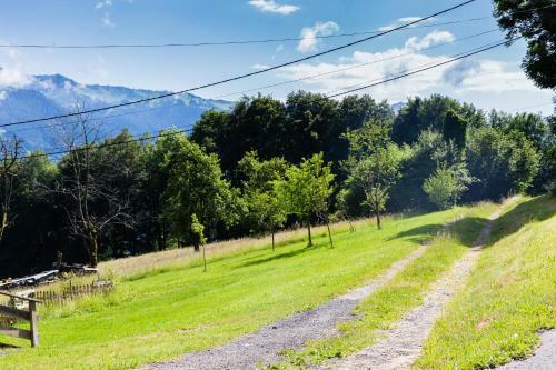 Chalet Familial Authentique Avec Jardin/chemin�e
