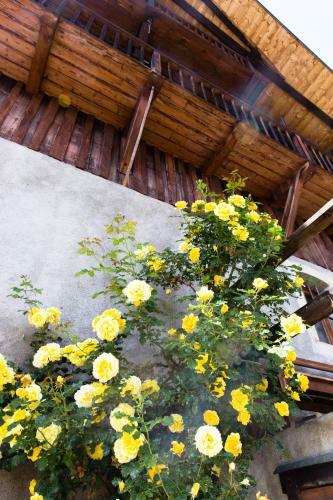Chalet Familial Authentique Avec Jardin/chemin�e